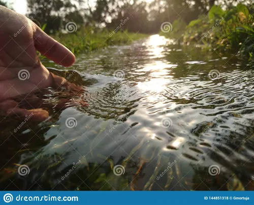 Сток Фото рука, держащая каплю воды
