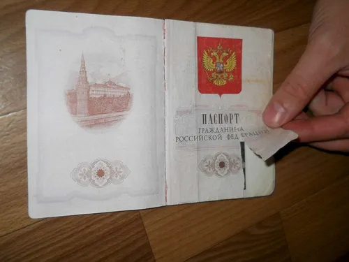 На Паспорт Размер Фото рука, держащая лист бумаги