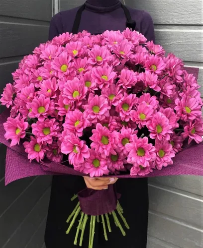 Хризантемы Фото человек с букетом розовых цветов