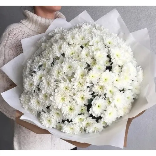 Хризантемы Фото букет белых цветов