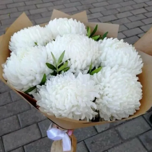 Хризантемы Фото белый цветок в коробке