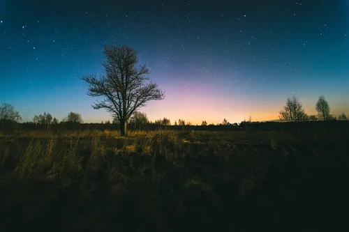 Ырка Фото поле с деревьями и звездным небом