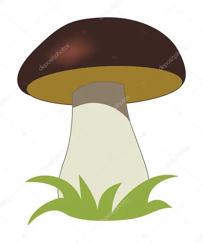 Белый Гриб Фото шляпа с зеленым листом