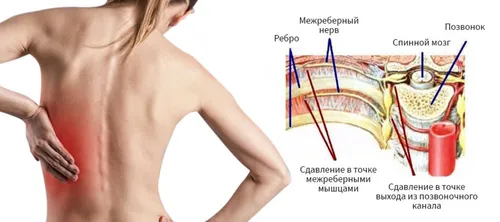 Где Болит Сердце Фото человек без рубашки