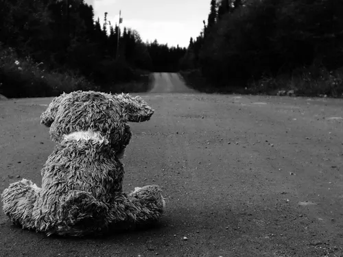 Грустные Фото собака, сидящая на обочине дороги
