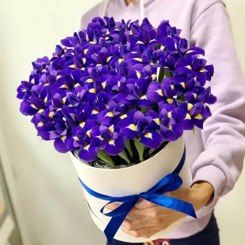 Ирисы Фото человек держит вазу с цветами