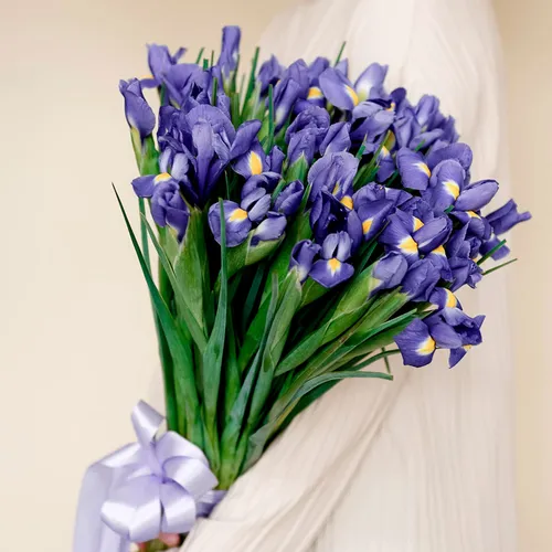 Ирисы Фото букет синих цветов