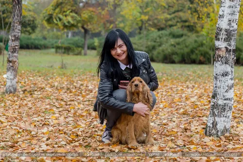 Кокер Спаниель Фото женщина, стоящая на коленях, держит собаку