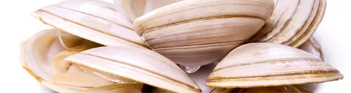 Контагиозный Моллюск Фото группа деревянных ложек