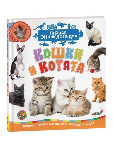 Котята Фото книга с изображением кошек