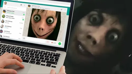 Момо Фото обезьяна, держащая ноутбук