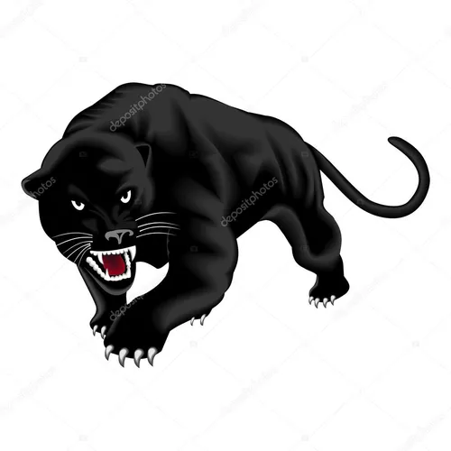 Пантера Фото голова черной кошки