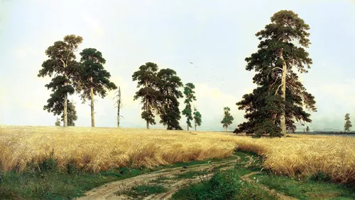 Пейзаж Фото травяное поле с деревьями на заднем плане