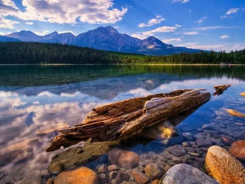 Пейзаж Фото бревно на скалистом берегу