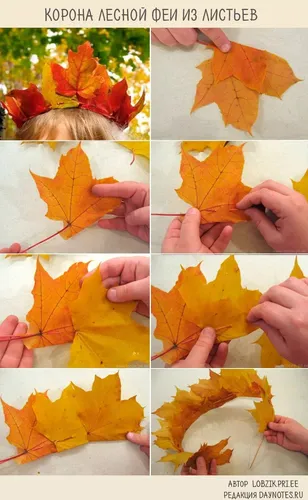 Поделки Осень В Школу Фото коллаж из разноцветных листьев
