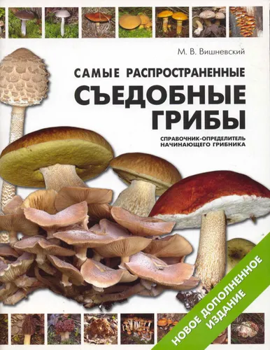 Съедобные Грибы Фото газета с изображением группы грибов