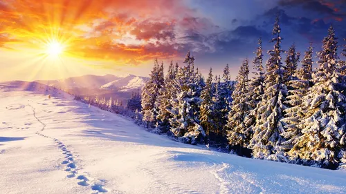 Зимы Фото снежная гора с деревьями и солнцем на заднем плане