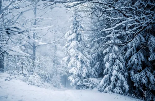 Зимы Фото HD