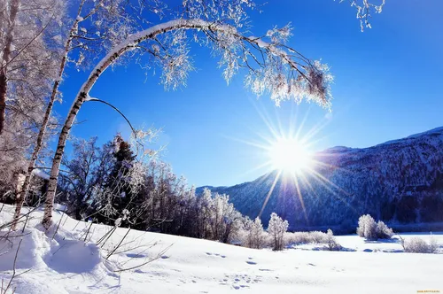 Зимы Фото снежный пейзаж с деревьями и горами
