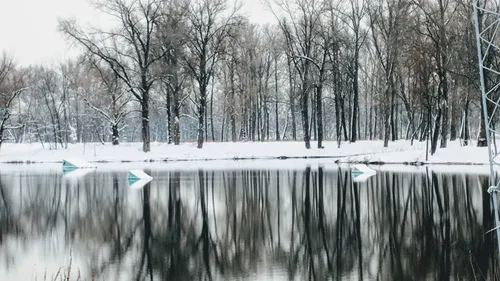 Зимы Фото водоем со снегом сбоку и деревьями вокруг