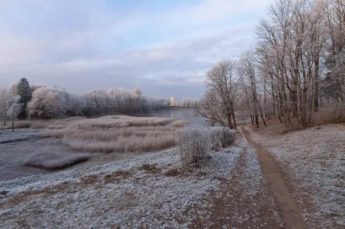 Зимы Фото грунтовая дорога с деревьями по обе стороны