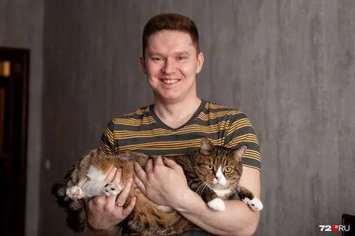 Кота Фото мужчина держит двух кошек