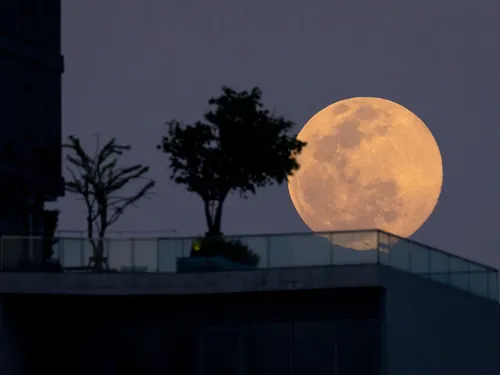 Луны Фото полная луна над зданием
