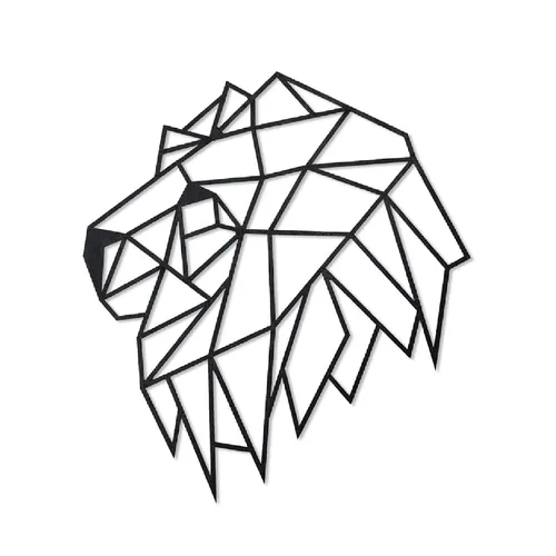 Льва Фото черно-белый рисунок мяча