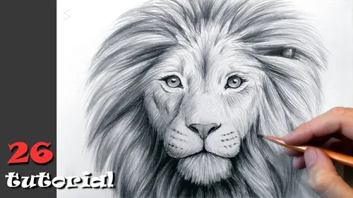 Льва Фото человек, держащий сигарету к львиному лицу