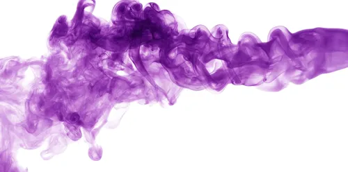 Пар Фото крупный план фиолетового цветка