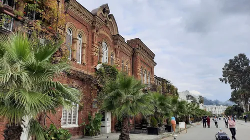 Абхазия Фото кирпичное здание с пальмами