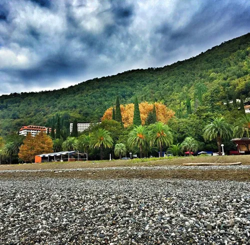 Абхазия Фото пейзаж с деревьями и холмом сзади
