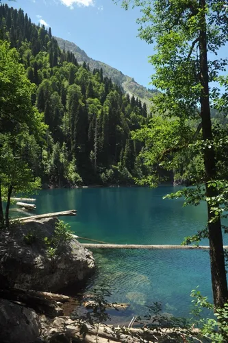 Абхазия Фото голубой бассейн в окружении деревьев