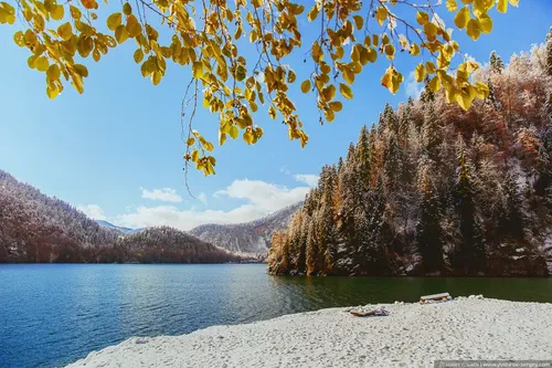 Абхазия Фото озеро с деревьями вокруг него