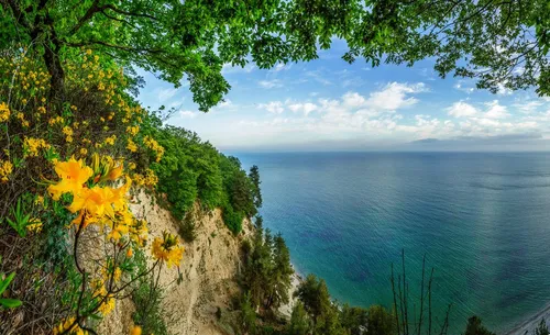 Абхазия Фото вид на озеро и горы