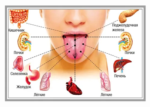 Болезни Языка Фото картинки