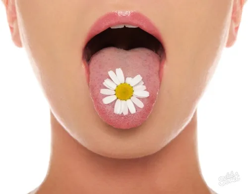 Болезни Языка Фото рот человека с цветком