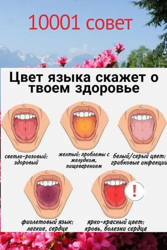 Болезни Языка Фото  скачать фото