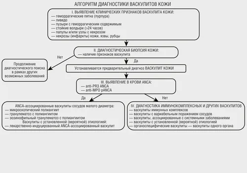 Васкулит Фото HD