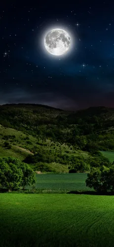 Красивые Природы Фото поле с деревьями и луной в небе
