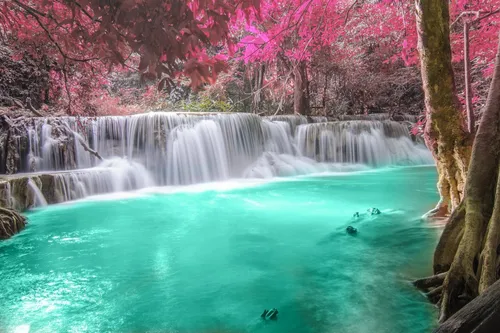 Красивые Природы Фото водопад с розовыми деревьями