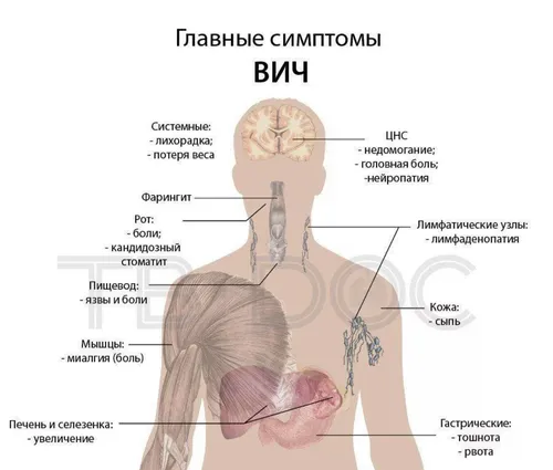 Признаки Вич Фото бесплатные обои