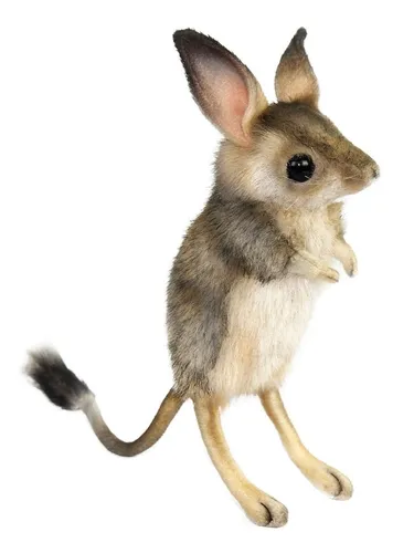 Тушканчик Фото маленький коричнево-белый кролик