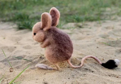 Тушканчик Фото кролик на земле