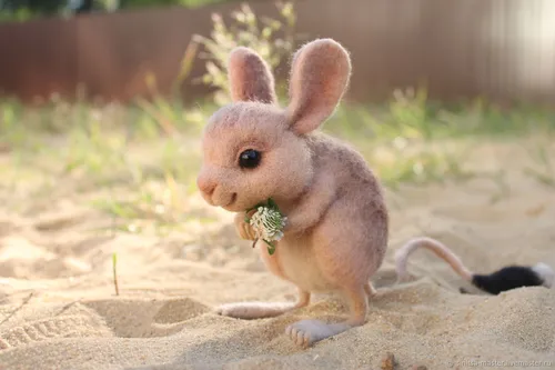 Тушканчик Фото кролик с цветком