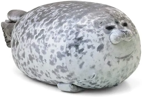 Тюлень Фото серо-белый тюлень