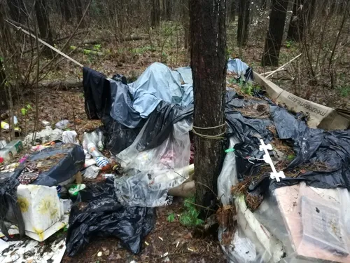 Бомжей Фото куча мусора в лесу