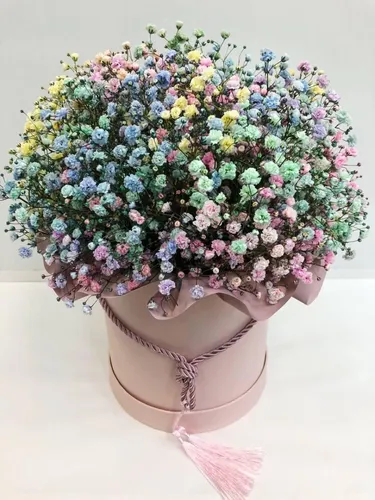 Букетов Цветов Фото растение в горшке с цветами