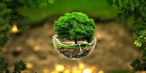 Картинки Фото дерево на круглом зеленом предмете