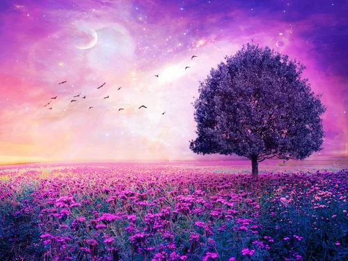Картинки Фото дерево в поле цветов